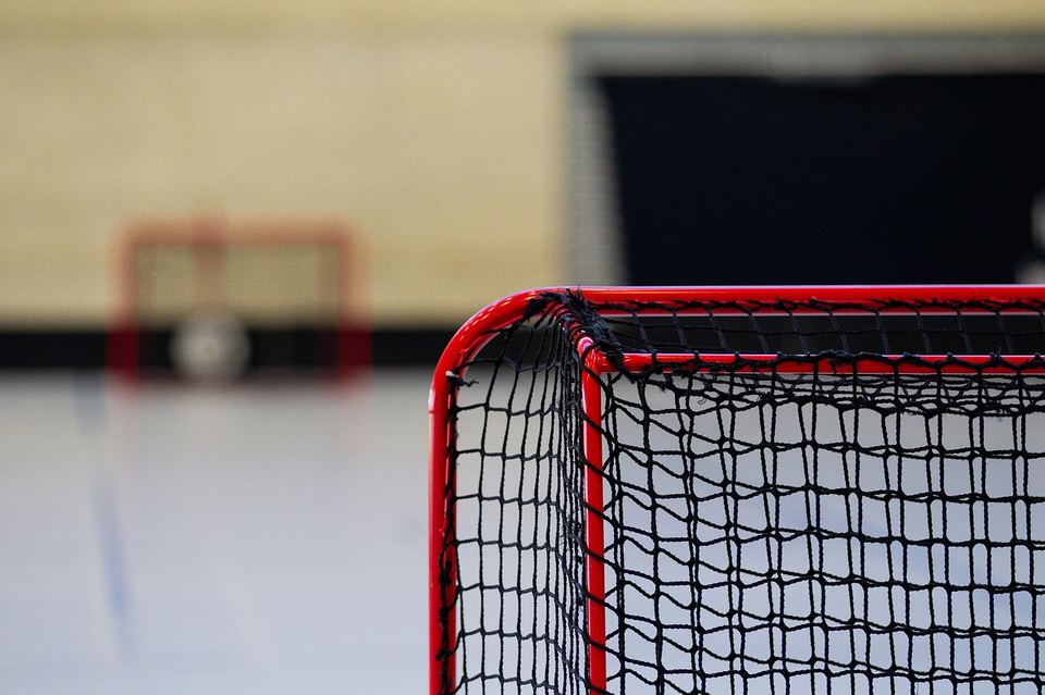Dek Hockey illustration